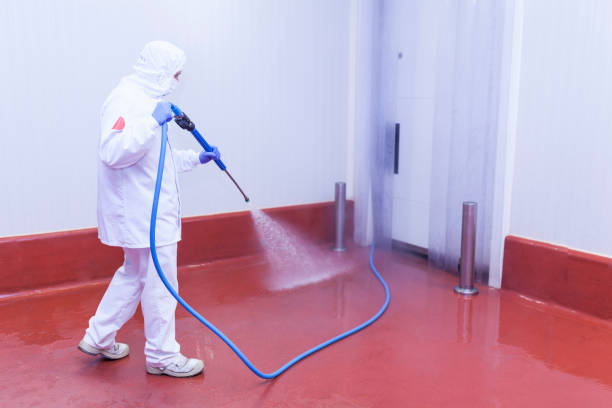 Best Driveway Pressure Washing  in Powder Springs, GA
